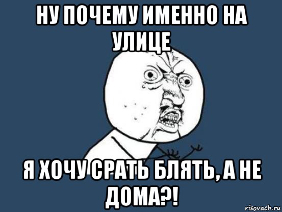 ну почему именно на улице я хочу срать блять, а не дома?!, Мем Ну почему