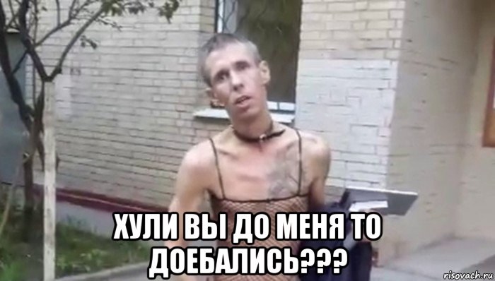  хули вы до меня то доебались???, Мем Панин