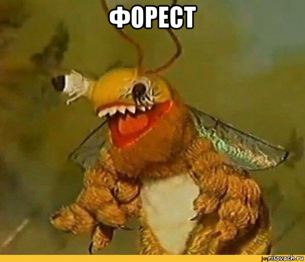 форест 