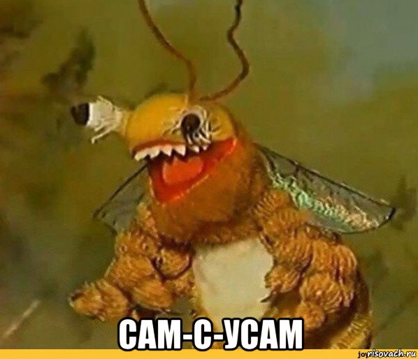 сам-с-усам