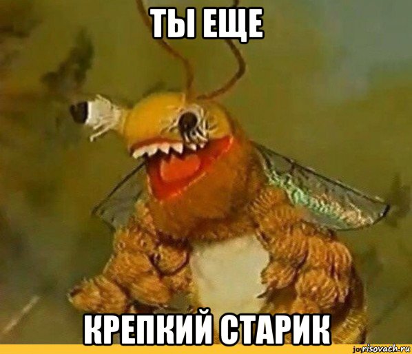 ты еще крепкий старик