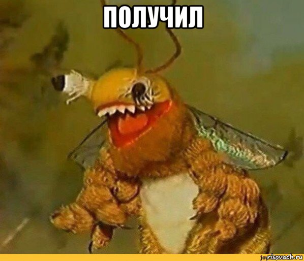 получил 
