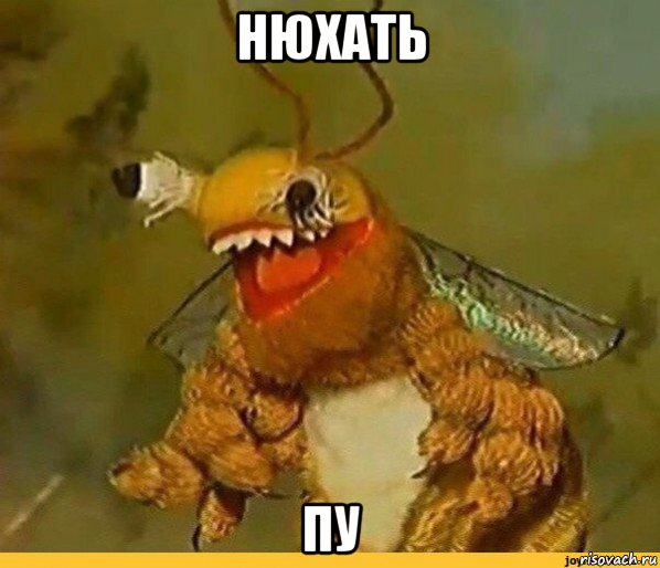 нюхать пу