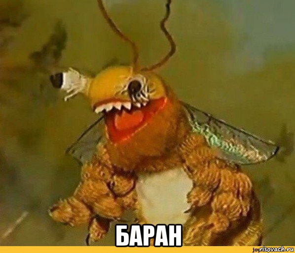  баран