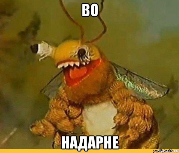 во надарне