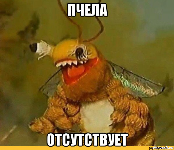 пчела отсутствует