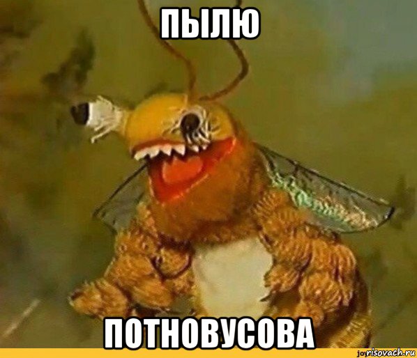 пылю потновусова