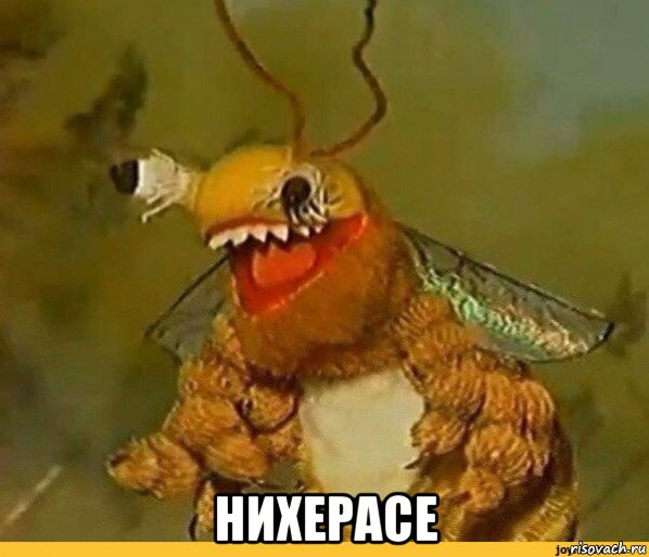  нихерасе