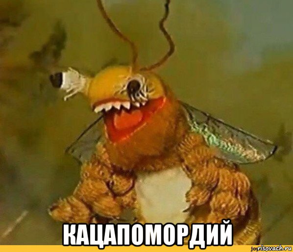  кацапомордий