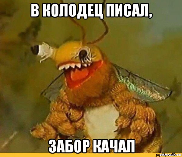 в колодец писал, забор качал