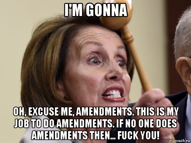i'm gonna oh, excuse me, amendments. this is my job to do amendments. if no one does amendments then... fuck you!