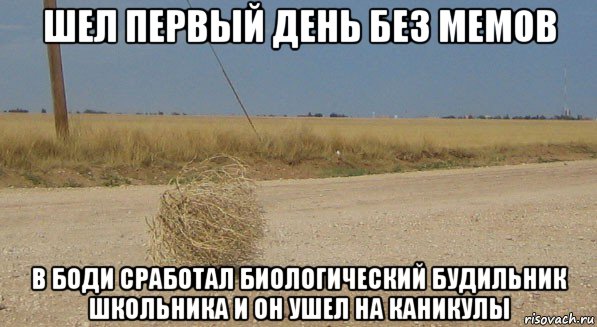 шел первый день без мемов в боди сработал биологический будильник школьника и он ушел на каникулы, Мем перекати-поле одиночество