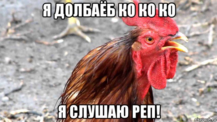 я долбаёб ко ко ко я слушаю реп!, Мем Петух-  Майданутый Хохол