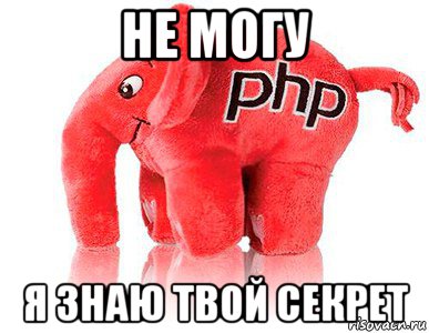 не могу я знаю твой секрет, Мем php