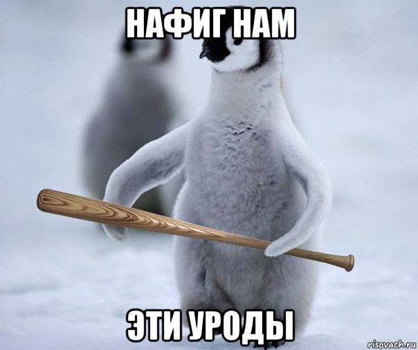 нафиг нам эти уроды, Мем Пингвин  Гопник