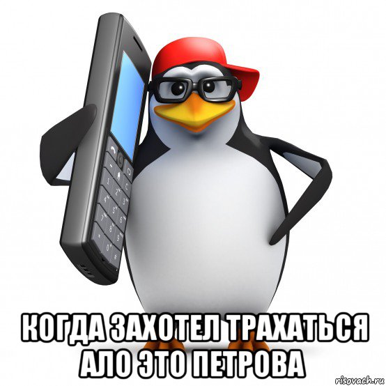  когда захотел трахаться ало это петрова, Мем   Пингвин звонит