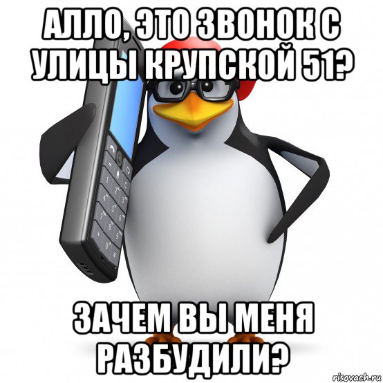 алло, это звонок с улицы крупской 51? зачем вы меня разбудили?, Мем   Пингвин звонит