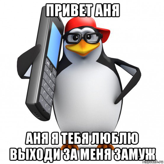 привет аня аня я тебя люблю выходи за меня замуж, Мем   Пингвин звонит