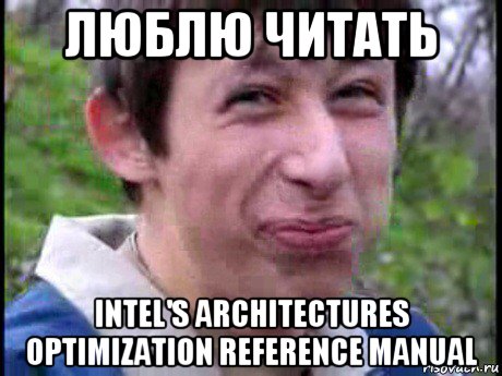 люблю читать intel's architectures optimization reference manual, Мем Пиздабол (врунишка)