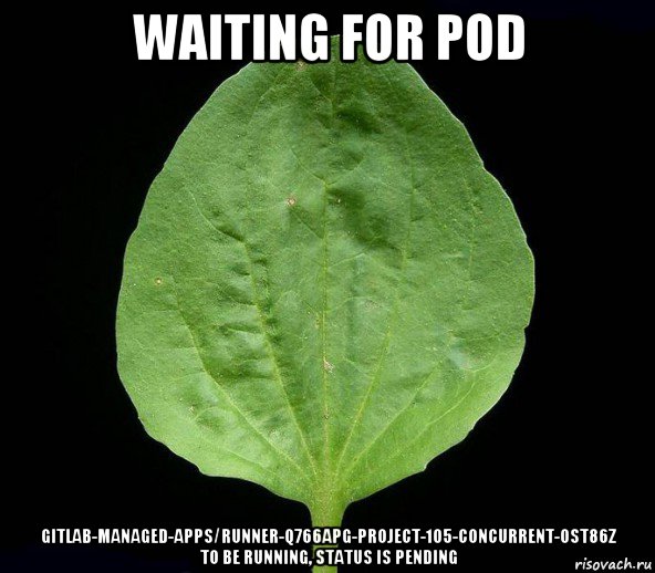 waiting for pod gitlab-managed-apps/runner-q766apg-project-105-concurrent-0st86z to be running, status is pending, Мем Подорожник