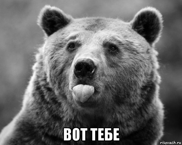  вот тебе
