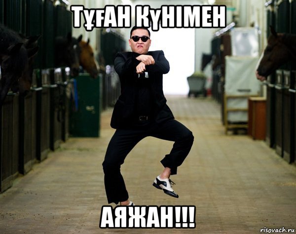 тұған күнімен аяжан!!!, Мем PSY