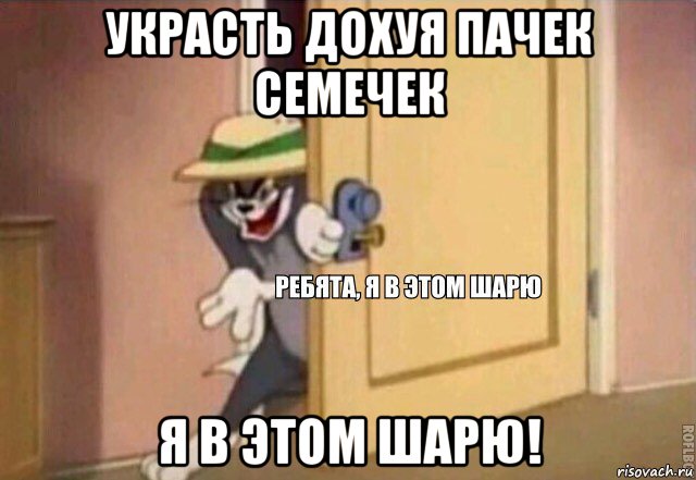 украсть дохуя пачек семечек я в этом шарю!, Мем    Ребята я в этом шарю