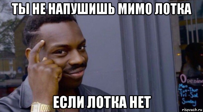 ты не напушишь мимо лотка если лотка нет