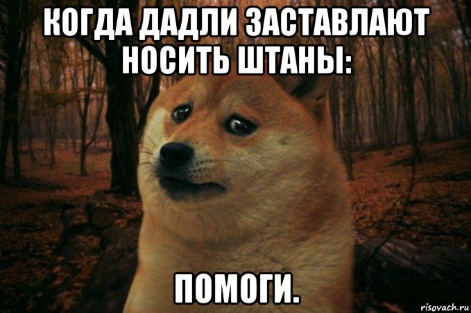 когда дадли заставлают носить штаны: помоги., Мем SAD DOGE