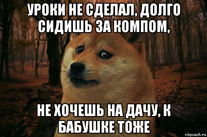 уроки не сделал, долго сидишь за компом, не хочешь на дачу, к бабушке тоже