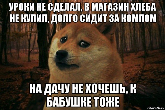 уроки не сделал, в магазин хлеба не купил, долго сидит за компом на дачу не хочешь, к бабушке тоже