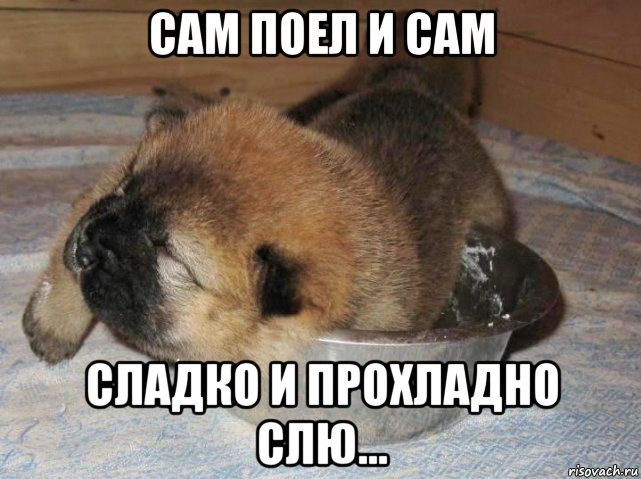 сам поел и сам сладко и прохладно слю..., Мем Сем поел и