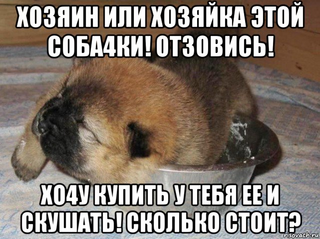 хозяин или хозяйка этой соба4ки! отзовись! хо4у купить у тебя ее и скушать! сколько стоит?, Мем Сем поел и