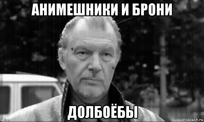 анимешники и брони долбоёбы