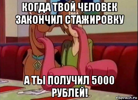 когда твой человек закончил стажировку а ты получил 5000 рублей!, Мем Скуби ду