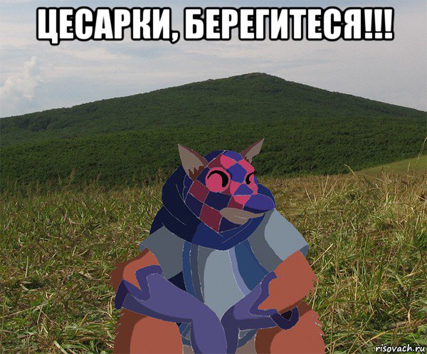 цесарки, берегитеся!!! 