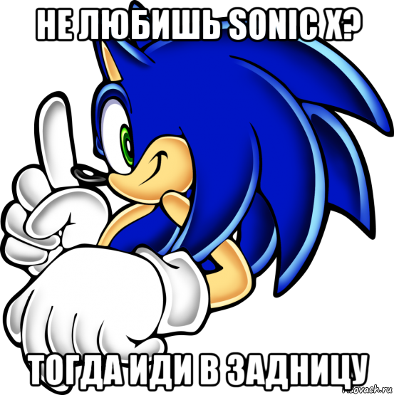 не любишь sonic x? тогда иди в задницу, Мем Sonic