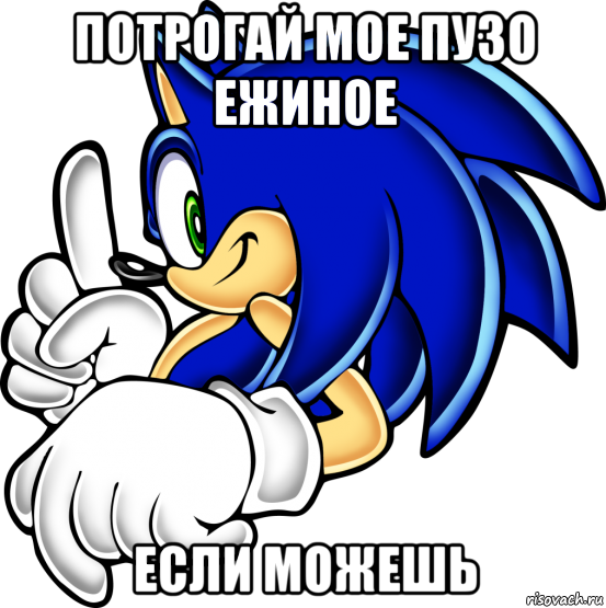 потрогай мое пузо ежиное если можешь, Мем Sonic