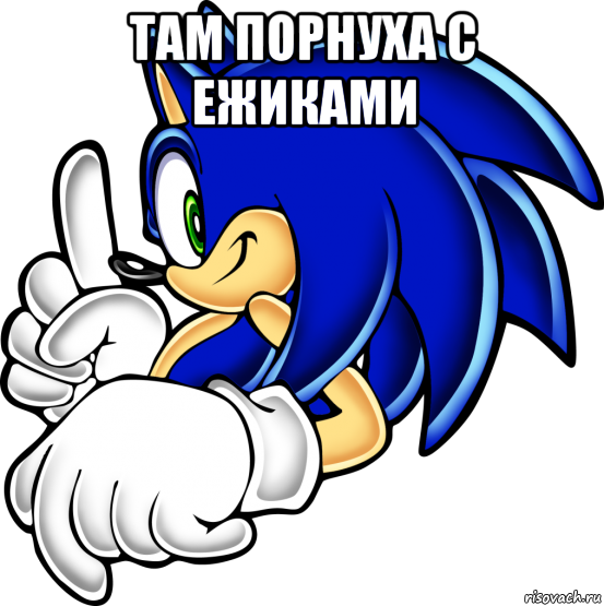 там порнуха с ежиками , Мем Sonic