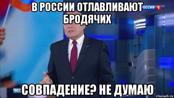 в россии отлавливают бродячих совпадение? не думаю