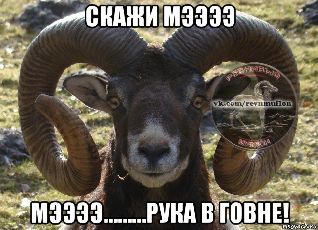 скажи мээээ мээээ………рука в говне!