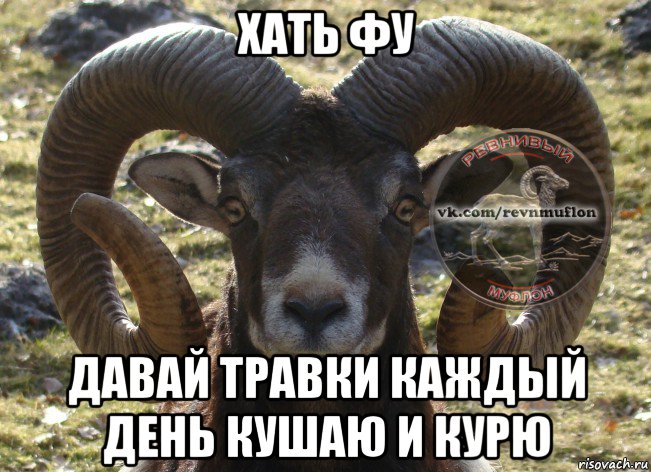 хать фу давай травки каждый день кушаю и курю