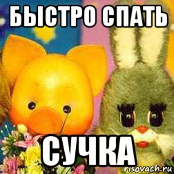 быстро спать сучка, Мем Спокойной ночи малыши