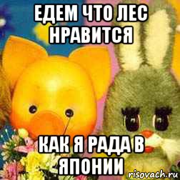 едем что лес нравится как я рада в японии