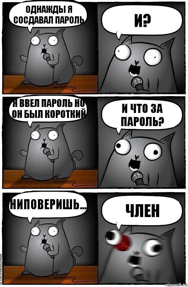 однажды я сосдавал пароль и? я ввел пароль но он был короткий и что за пароль? ниповеришь... ЧЛЕН, Комикс  Стендап-кот