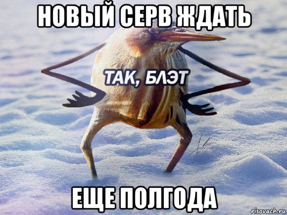 новый серв ждать еще полгода