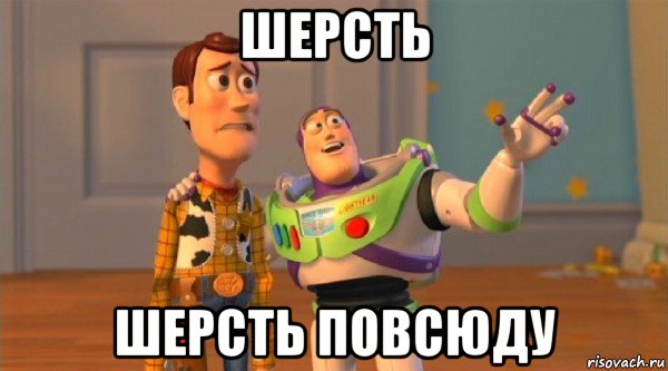 шерсть шерсть повсюду