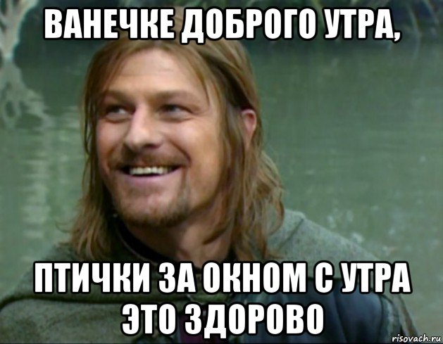 ванечке доброго утра, птички за окном с утра это здорово