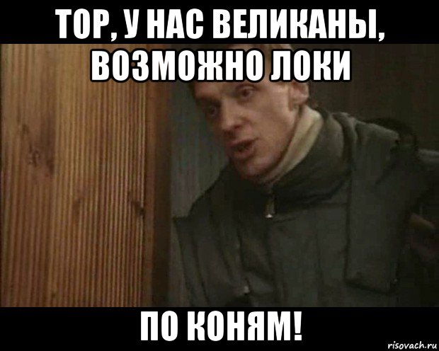 тор, у нас великаны, возможно локи по коням!