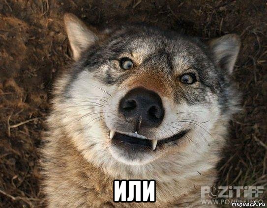  или